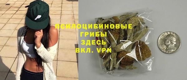 ПСИЛОЦИБИНОВЫЕ ГРИБЫ Чердынь