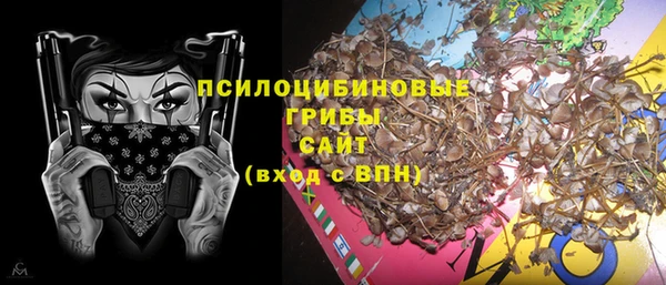 не бодяженный Горнозаводск