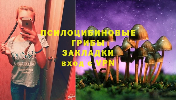 не бодяженный Горнозаводск
