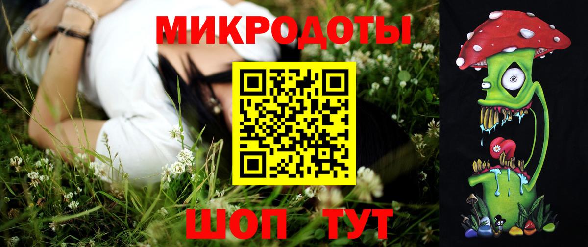 Галлюциногенные грибы Psilocybe  Вход с VPN  Дальнереченск 