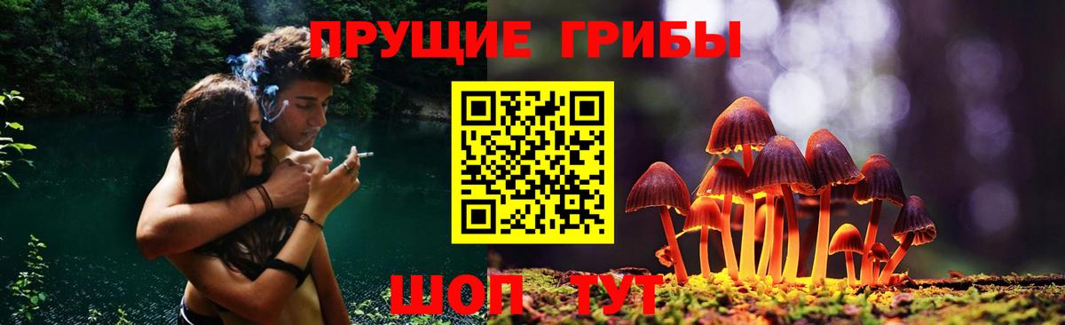 Псилоцибиновые грибы прущие грибы Дальнереченск
